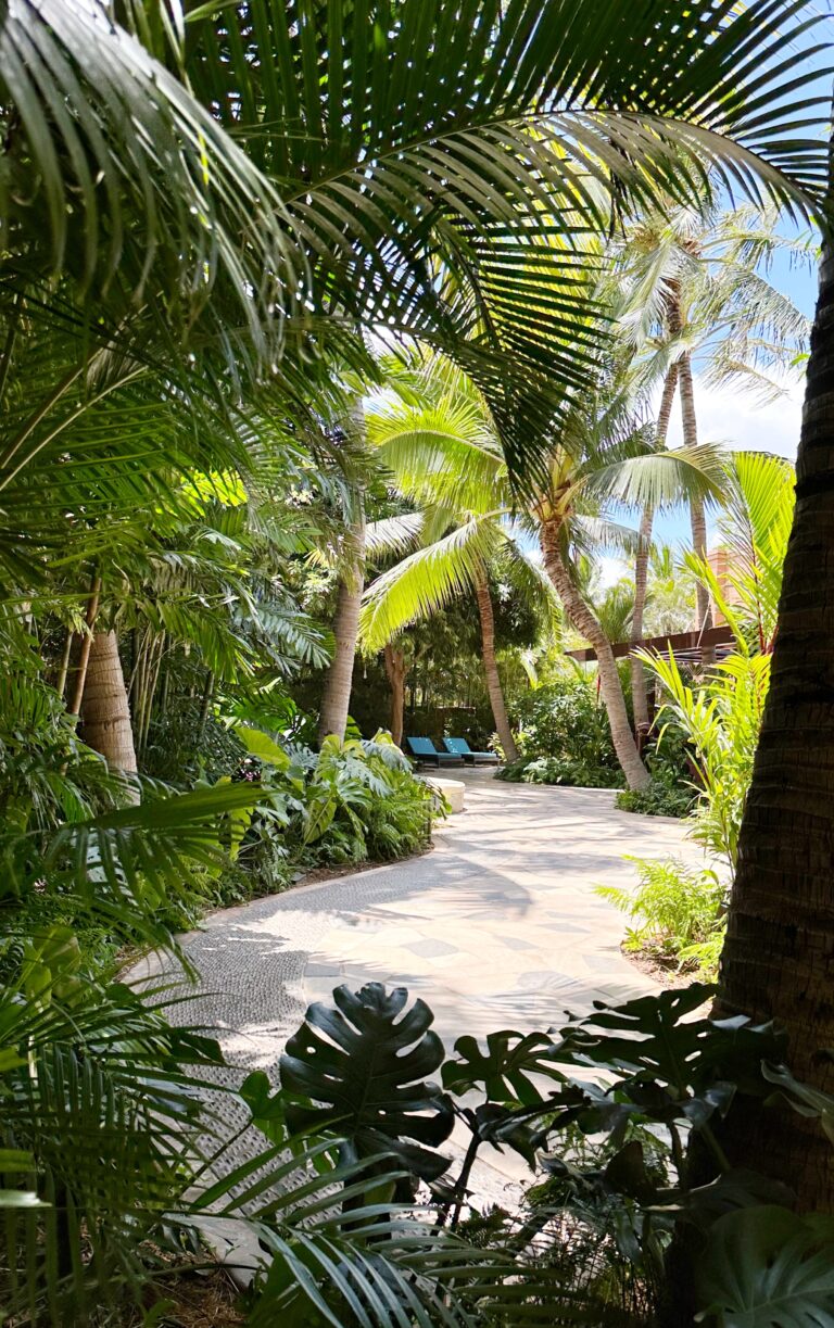 Lush, green foliage and walkway at Laniwai Spa at Aulani Disney Resort.